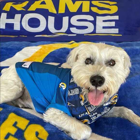 Meet your Posher, Kathy - Picture 3 of 11